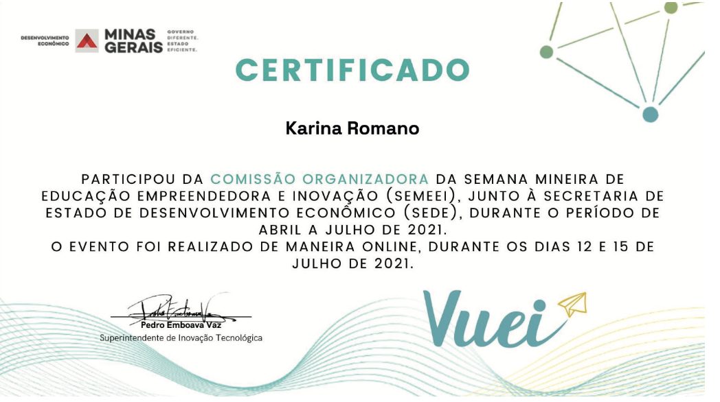 Certificado da comissão organizadora da SEMEEI, Governo de Minas Gerais